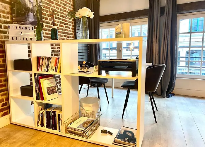 Appartement Heloise, Le Charme Du Vieux-Lille